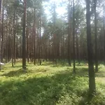 Lyxtält Zew Natury Broda