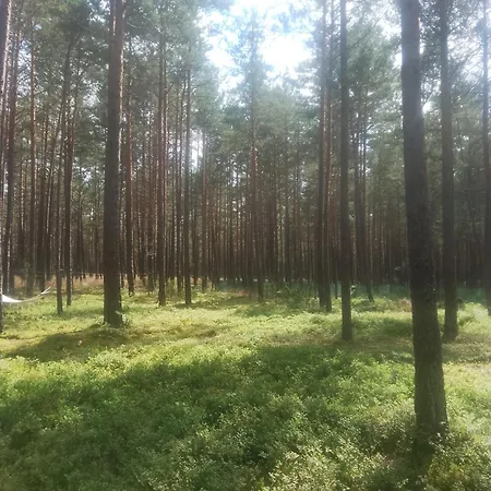 אוהל מפואר Zew Natury Broda