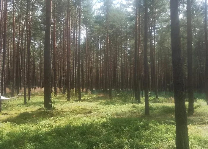 Campo de lujo Zew Natury Broda