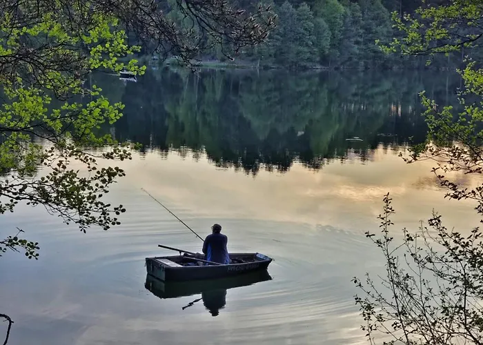 Zew Natury Campo de lujo *