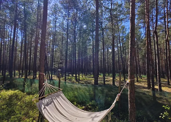 Luksusowy namiot Zew Natury